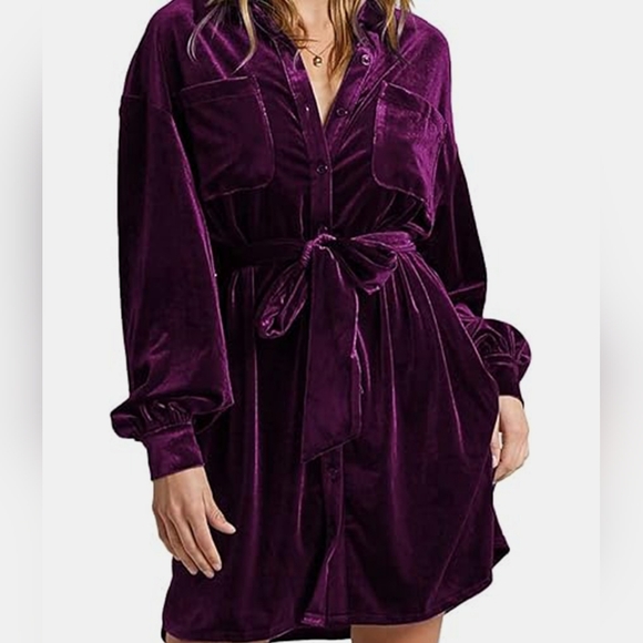 Velvety Button-Down Dress - Picture 3 of 7